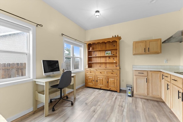4835 W Jack Pine Ct, Appleton, WI 54913 - office with light wood finished floors and baseboards