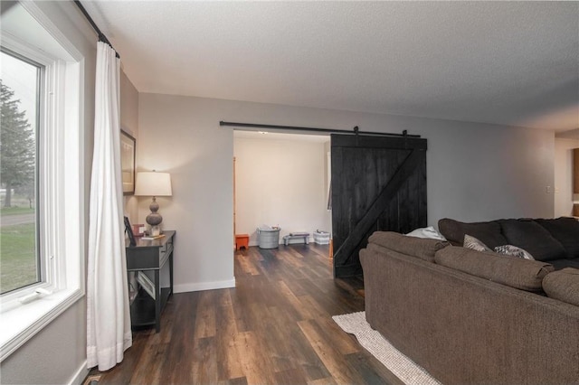 222 1st Ave, Clear Lake, WI 54005 - living area featuring a barn door, dark wood finished floors, and baseboards
