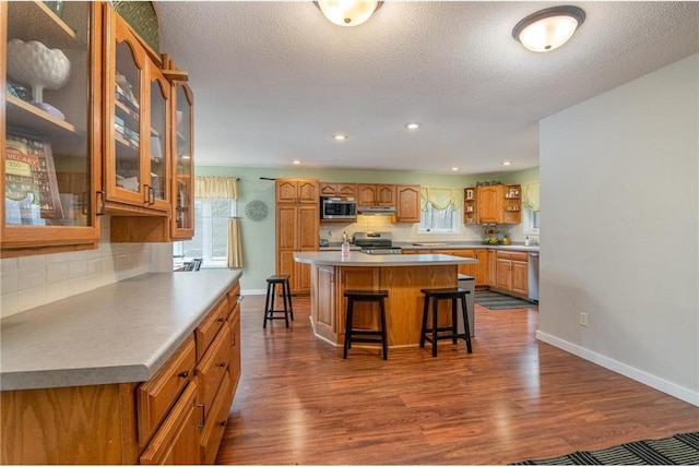 222 1st Ave, Clear Lake, WI 54005 - kitchen featuring stainless steel appliances, dark wood-style flooring, open shelves, backsplash, and a kitchen bar