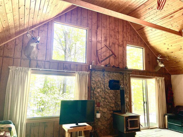 16651 Dolittle Ln, Townsend, WI 54175 - living room featuring wood ceiling, a wood stove, wooden walls, and plenty of natural light