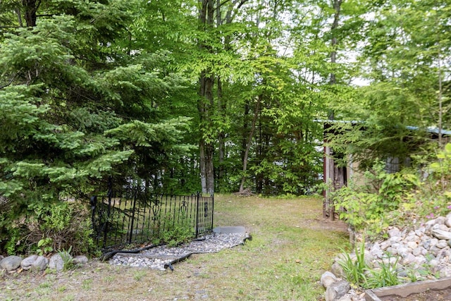 16651 Dolittle Ln, Townsend, WI 54175 - view of yard
