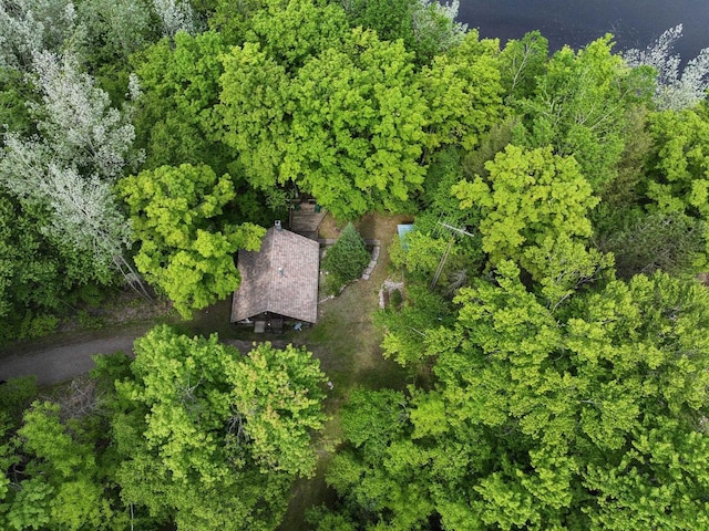 16651 Dolittle Ln, Townsend, WI 54175 - aerial view