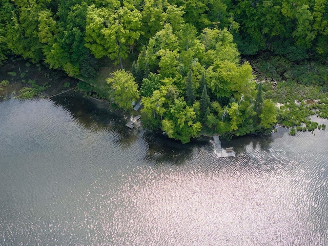16651 Dolittle Ln, Townsend, WI 54175 - aerial view of property and surrounding area featuring a large body of water