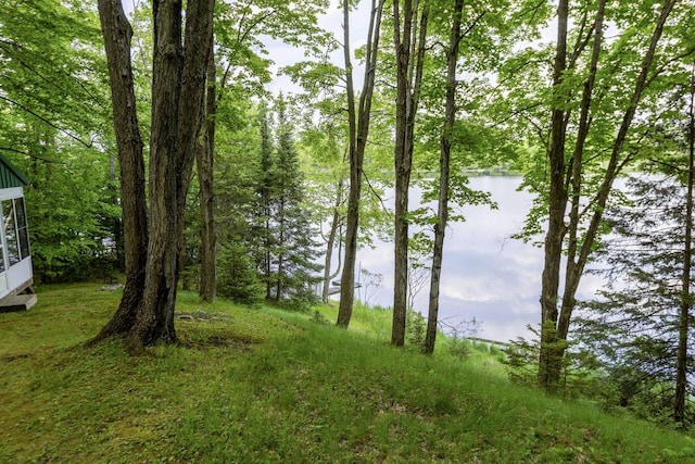 16651 Dolittle Ln, Townsend, WI 54175 - water view