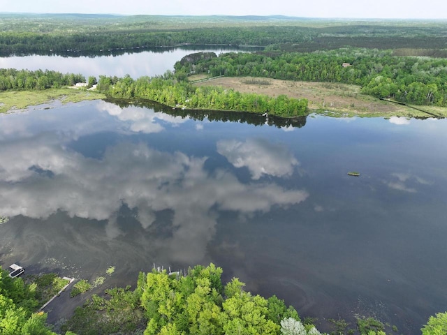 16651 Dolittle Ln, Townsend, WI 54175 - drone / aerial view of a forest and a nearby body of water
