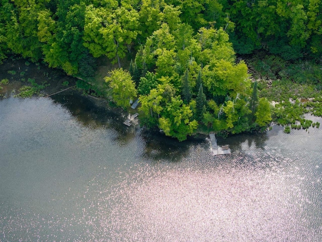 16651 Dolittle Ln, Townsend, WI 54175 - aerial view of property's location featuring a nearby body of water