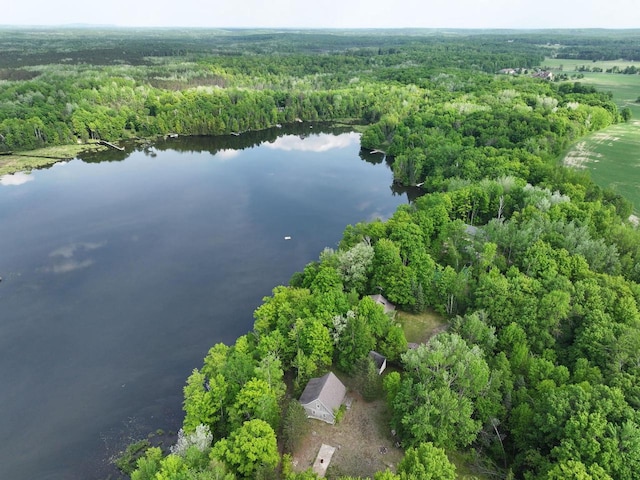 16651 Dolittle Ln, Townsend, WI 54175 - drone / aerial view of a heavily wooded area and a nearby body of water