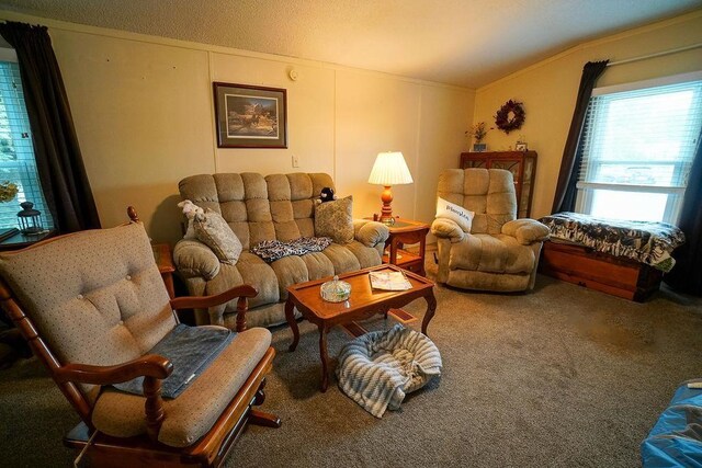 134 Attewell St Unit 54, Mauston, WI 53948 - living room featuring carpet floors, crown molding, and vaulted ceiling