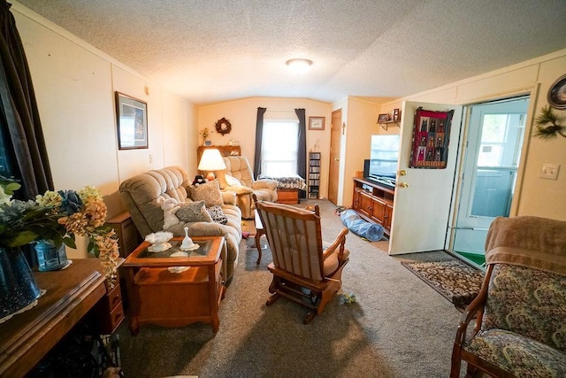 134 Attewell St Unit 54, Mauston, WI 53948 - carpeted living area with vaulted ceiling, plenty of natural light, and a textured ceiling
