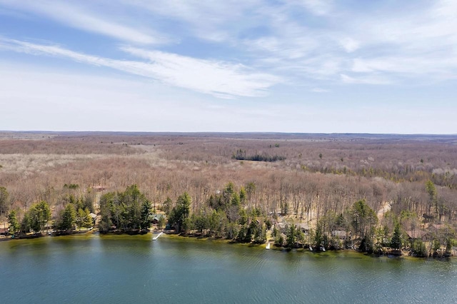 3857 Lake Lucerne Dr, Crandon, WI 54520 - bird's eye view of a nearby body of water