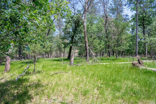 W5037 Timber Ridge Ln, Mauston, WI 53948