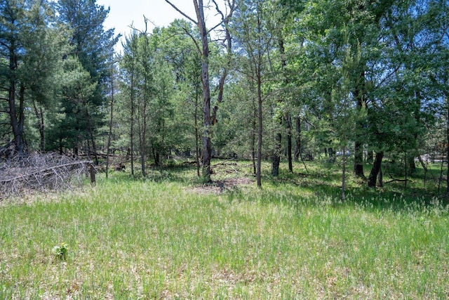 W5037 Timber Ridge Ln, Mauston, WI 53948