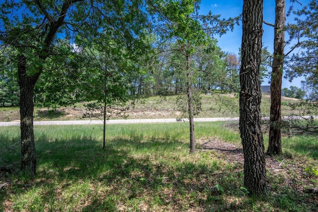 W5037 Timber Ridge Ln, Mauston, WI 53948