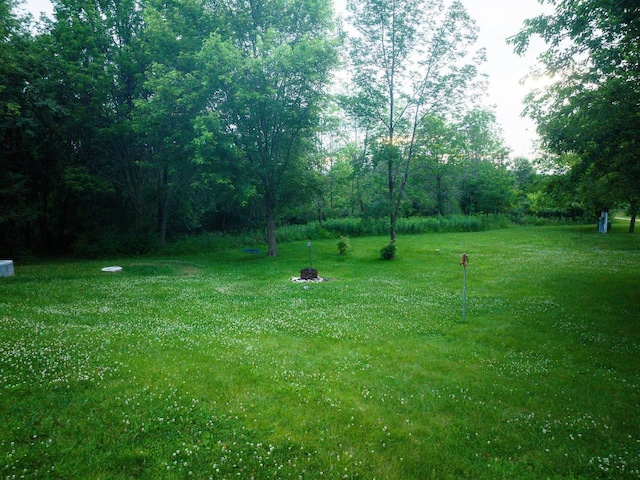 58877 Sudden Valley View Dr, Eastman, WI 54626 - view of yard