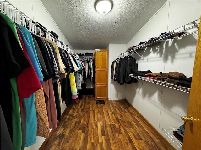 1311 W Northstar Ln, Eau Claire, WI 54703 - spacious closet featuring dark wood finished floors