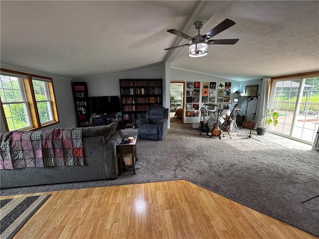1311 W Northstar Ln, Eau Claire, WI 54703 - living area with lofted ceiling, wood finished floors, a ceiling fan, and a textured ceiling