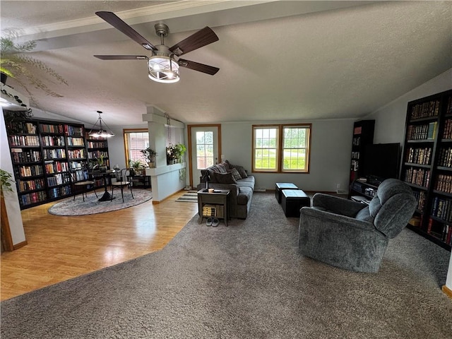 1311 W Northstar Ln, Eau Claire, WI 54703 - living area with carpet flooring, lofted ceiling, wall of books, ceiling fan, and a textured ceiling