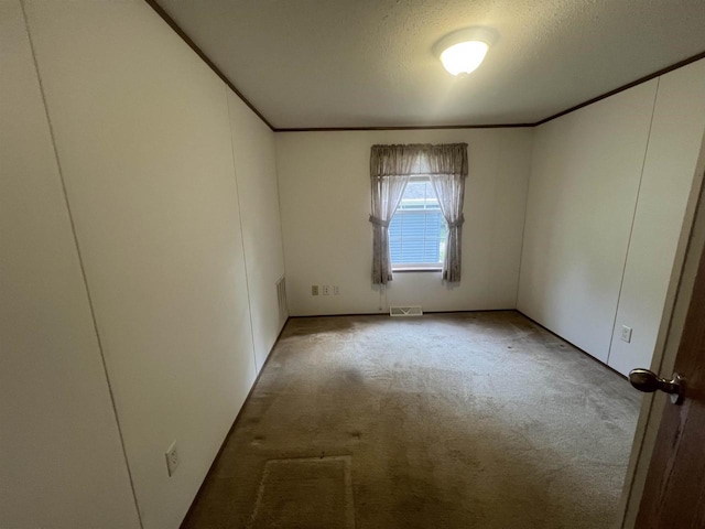 N2639 County Road Z Unit B19, Dousman, WI 53118 - empty room featuring carpet flooring, crown molding, and a textured ceiling