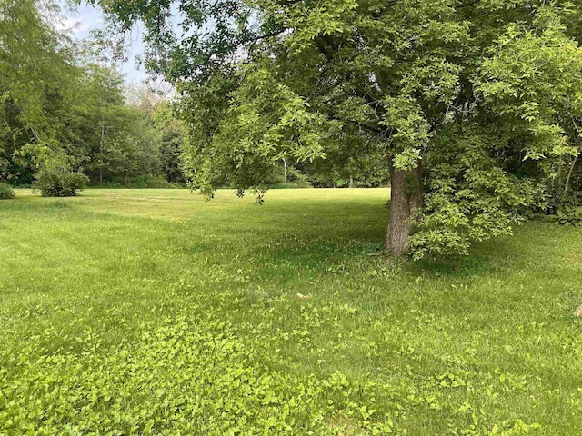 N2639 County Road Z Unit B19, Dousman, WI 53118 - view of green lawn