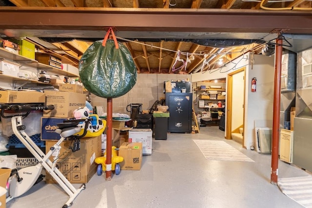 1207 Lark St, Merrill, WI 54452 - view of unfinished below grade area