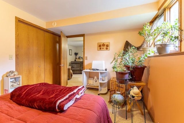 1207 Lark St, Merrill, WI 54452 - bedroom with light carpet and a closet