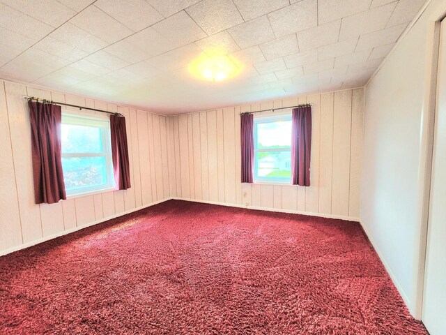 5609 Two Creeks Rd, Two Rivers, WI 54241 - carpeted empty room featuring plenty of natural light and wood walls