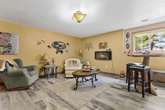 831 Browning Dr, Seymour, WI 54165 - living room featuring wood finished floors, baseboards, and a glass covered fireplace