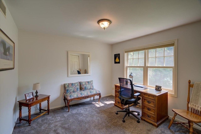 101 Everglade Dr, Madison, WI 53717 - office space with carpet and baseboards