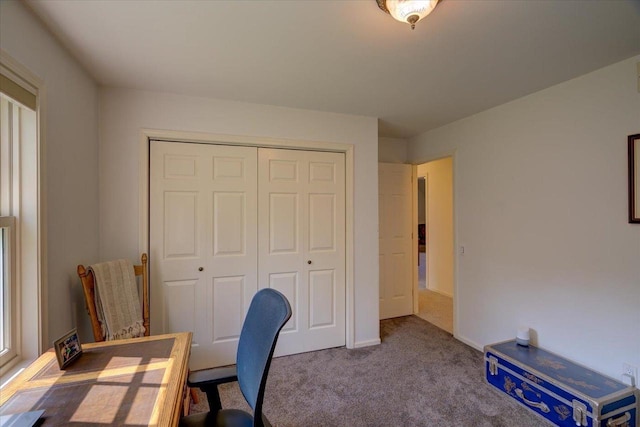 101 Everglade Dr, Madison, WI 53717 - office area with carpet flooring