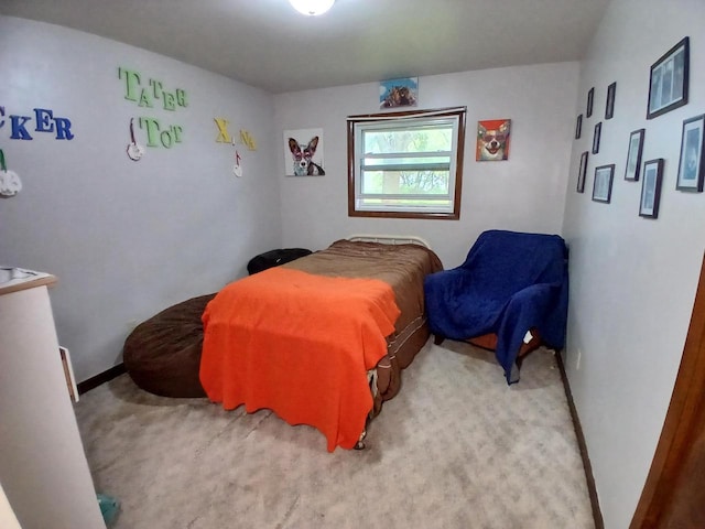 2048 County Road Q, Pound, WI 54161 - carpeted bedroom with baseboards