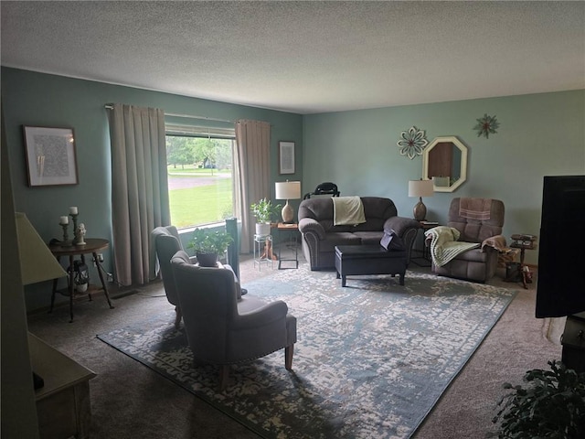 318 Frenette Dr Unit 2, Chippewa Falls, WI 54729 - carpeted living room featuring a textured ceiling