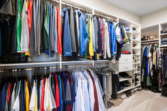 6249 Fountainhead Cir, Deforest, WI 53532 - spacious closet with carpet flooring