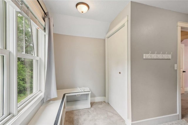 2256 40th Ave Unit X, Osceola, WI 54020 - hall with healthy amount of natural light and light carpet