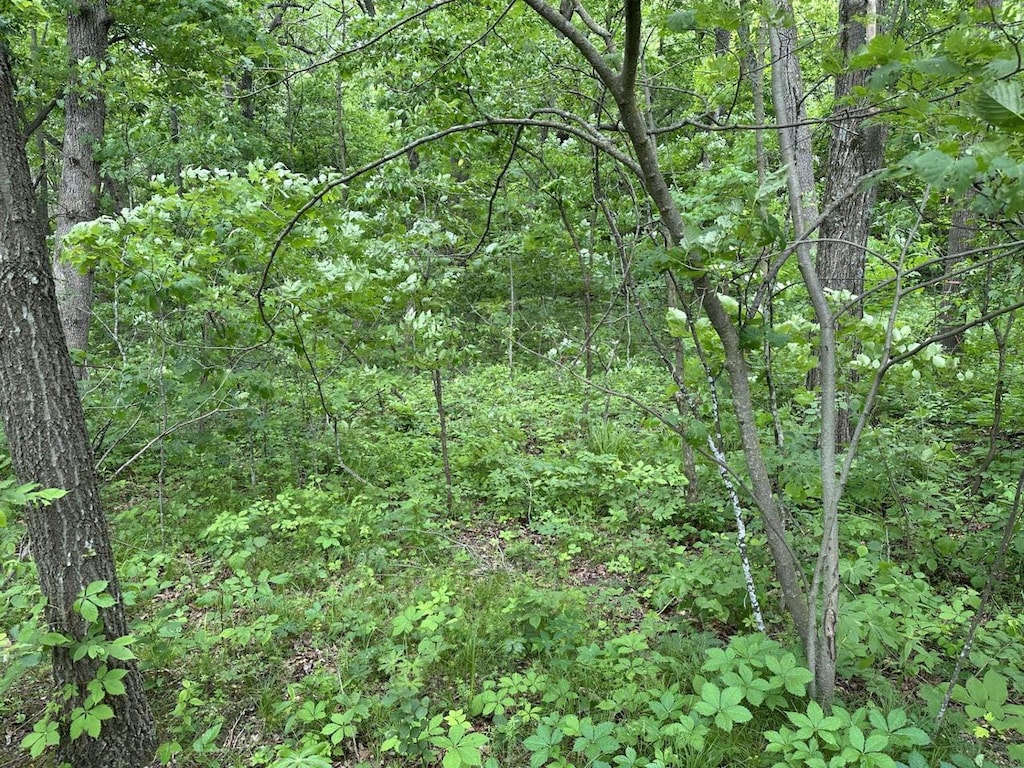 9.6AC Fairfield Rd, Baraboo, WI 53913