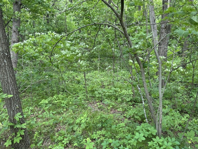 9.6AC Fairfield Rd, Baraboo, WI 53913
