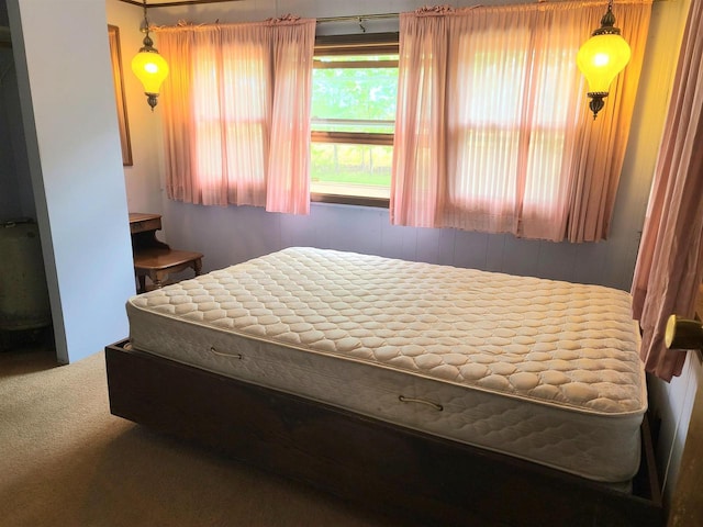 W5677 Alice Ln, New Lisbon, WI 53950 - view of carpeted bedroom