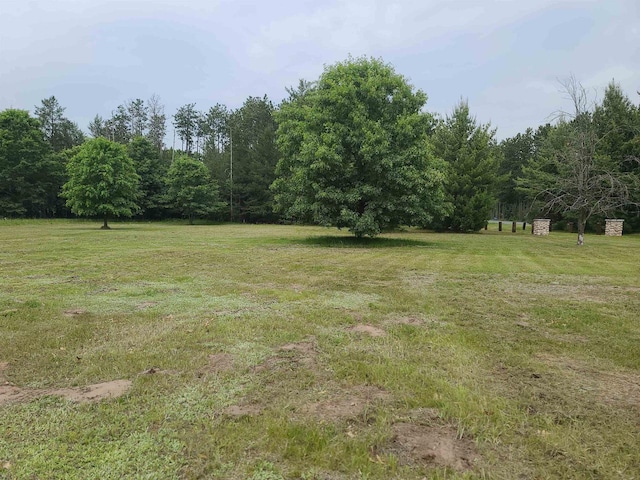 W5677 Alice Ln, New Lisbon, WI 53950 - view of green lawn featuring a view of trees