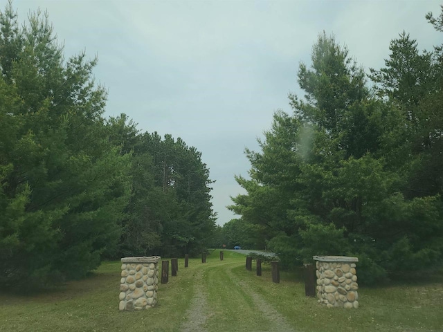 W5677 Alice Ln, New Lisbon, WI 53950 - view of grassy yard with driveway and a forest view