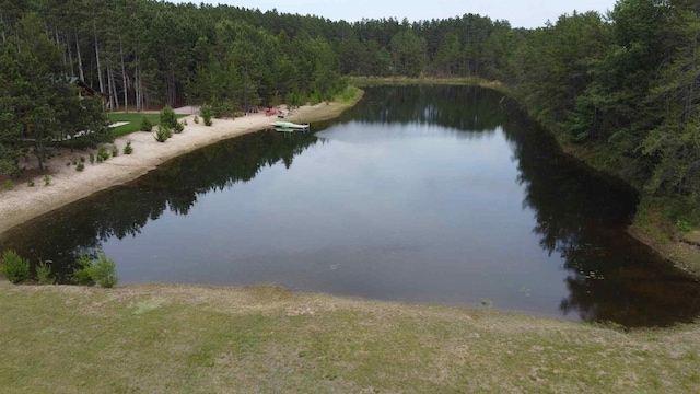W5677 Alice Ln, New Lisbon, WI 53950 - water view with a heavily wooded area