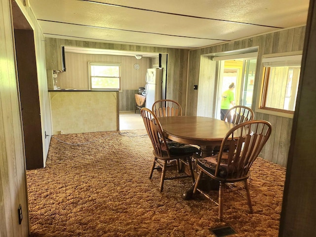 W5677 Alice Ln, New Lisbon, WI 53950 - dining room with wood walls