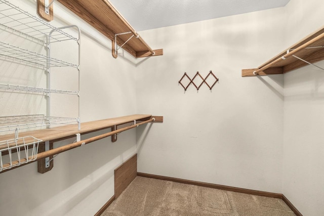 N7844 Lake Shore Ln, Sherwood, WI 54169 - walk in closet featuring light carpet