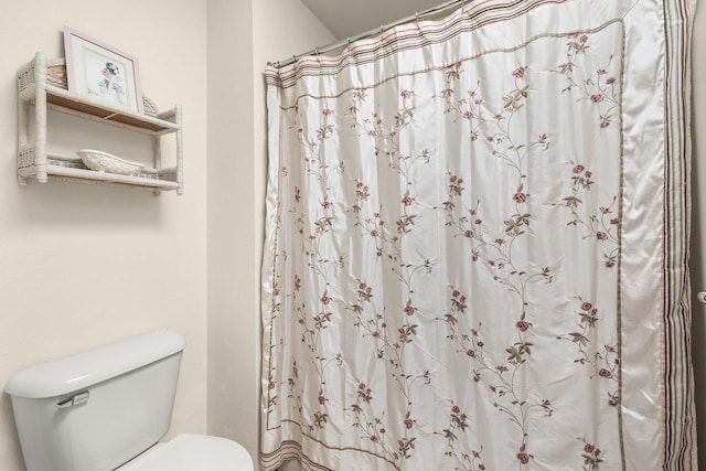 N7844 Lake Shore Ln, Sherwood, WI 54169 - bathroom featuring toilet and a shower with curtain