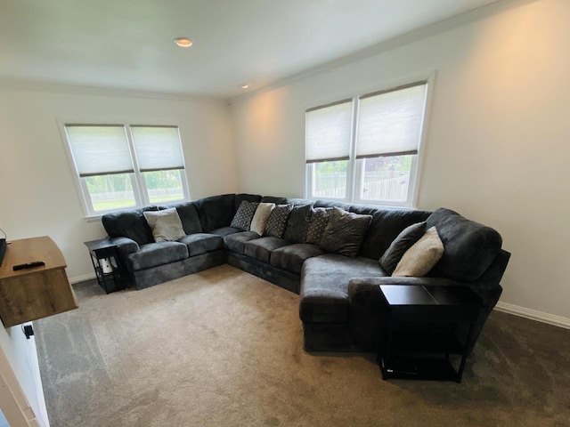 540 W Manor Cir, Bayside, WI 53217 - living area featuring healthy amount of natural light, crown molding, and carpet floors