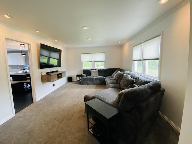 540 W Manor Cir, Bayside, WI 53217 - carpeted living area with ornamental molding and recessed lighting