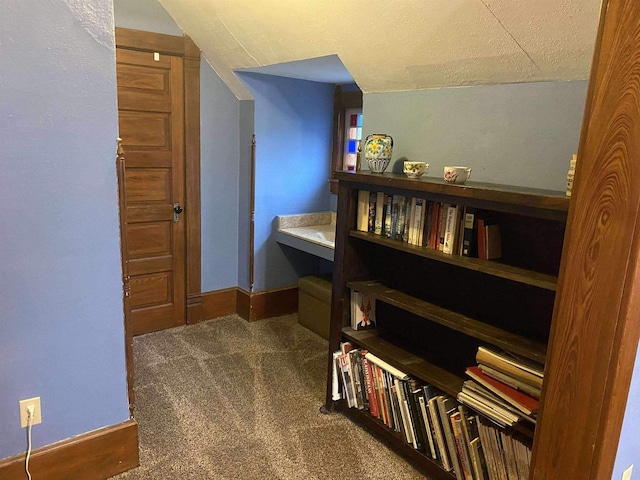 352 N Harrison St, Lancaster, WI 53813 - hallway with carpet floors, a textured ceiling, and lofted ceiling