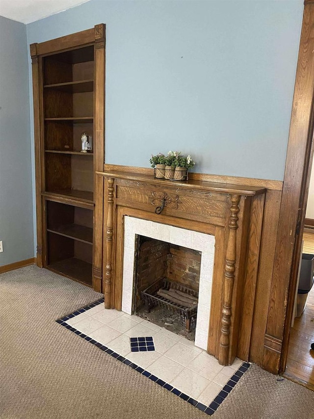 352 N Harrison St, Lancaster, WI 53813 - detailed view of a fireplace and carpet floors