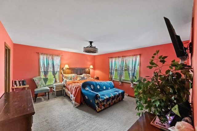 104 Chapel Hill Dr, Johnson Creek, WI 53038 - carpeted bedroom featuring multiple windows