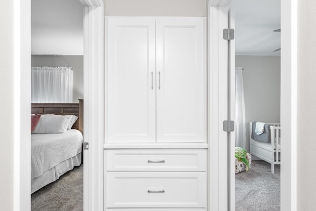 30 Highland Ave, Ripon, WI 54971 - view of closet