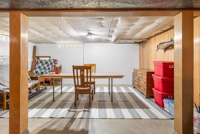 30 Highland Ave, Ripon, WI 54971 - finished basement with concrete block wall