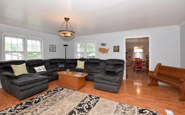 3330 S 47th St, Greenfield, WI 53219 - living room featuring ornamental molding, light wood-style flooring, and plenty of natural light